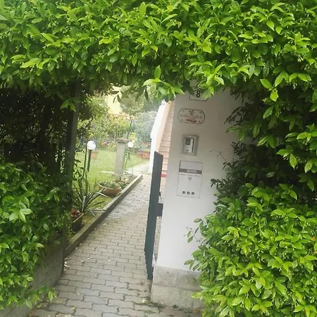 Bed and Breakfast Il Gelsomino Turistico